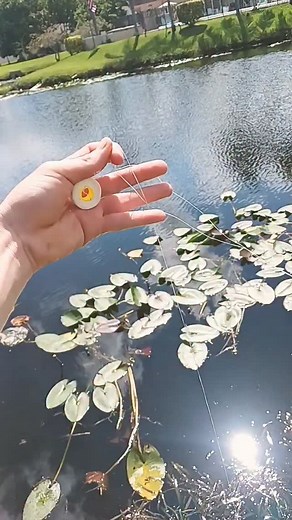 Daniel Parra on Reels