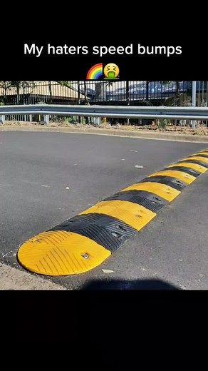 Understanding Furry Fandom in Colorful Costumes