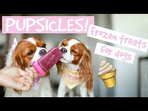DIY POPSICLES FROZEN DOG TREATS | Easy and Healthy | Herky Eats