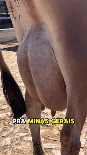 Pablo Augusto no TikTok