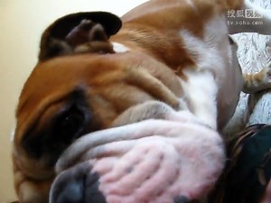 照片 112