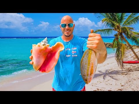 Catch n' Cook on a Caribbean Beach - Conch and Snapper!