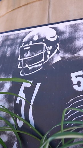 5.4K views · 71 reactions | Fighting Illini Football honors the late legend Dick Butkus tonight. 李 | Big Ten Network | Facebook