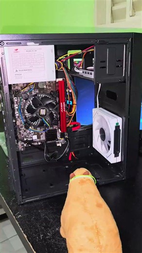 Jake, a Capivara, Montando um PC Gamer (Stop-Motion) #pcgamer #gamer #pc #hardware #edit #pcgaming