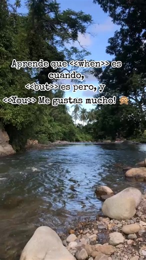 Videos de 🍀🥀🌵🐾 (@knd.c.c) con “La Playa - yourmusic4ever💯”