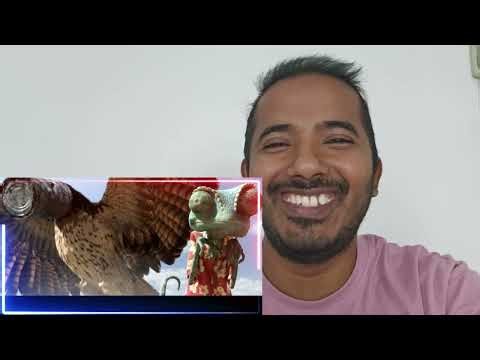 When Luck ^ Brains: Rango vs Hawk 🦎🦅 #fbkingdomvibes