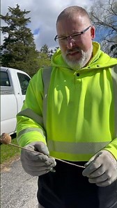 Praying Mantis Egg Sac (Oothecal)
