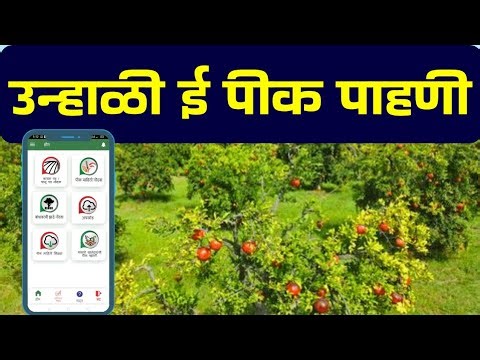 E-Peek Pahani 2026: शेतकऱ्यांसाठी मोठी बातमी! उन्हाळी हंगामाची ई-पीक पाहणी सुरू