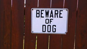 Dog attacks kids strapped in car seats inside minivan