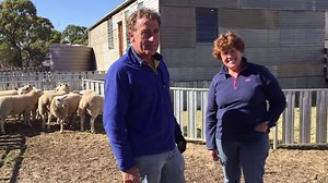 1.1K views · 13 reactions | Liz and Peter Russell were excited about...