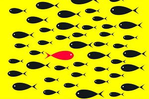 The power of social proof is that thousands of people can’t be wrong