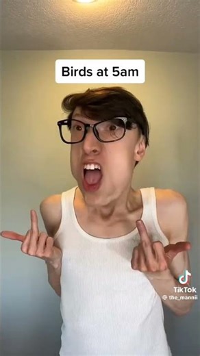 Birds chirping (Part 1) 🐦🔊