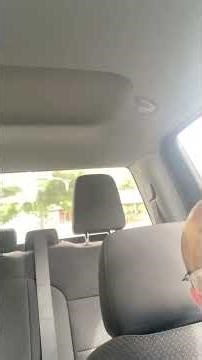 Tormented by demons shaking my vehicle flys away sat the end