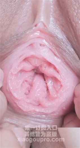 RT @dmant71135: #全网最强小穴子宫特写这次拍的作品称得上是小狗pro的年度必看佳作了🤩📷，总而言之，无敌色色，无敌清晰，无敌好射！！小穴和阴蒂的每一个毛孔纹路都清晰可见📷📷，子宫和阴道壁的肌肉血管超级粉嫩美丽📷，还能看到小穴的呼吸缩放，绝美的视觉奇观 https…