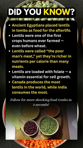 5 Lentil Facts You’ve NEVER Heard Before 😳