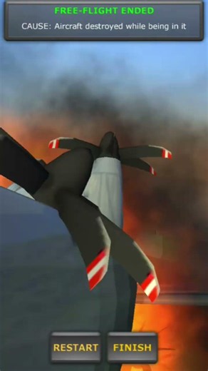 Mid Air Collision In turbo flight simulator