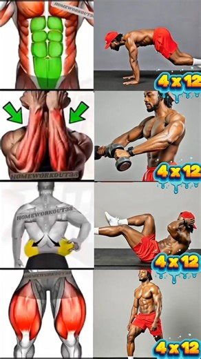 Full body training. Work every muscle, build strength, and stay consistent. 💪🔥#fullbodyworkout