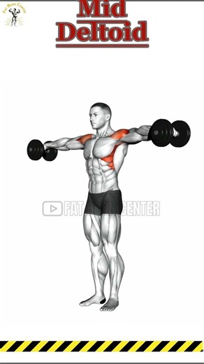 The Only Mid Delt Exercises You Need #shoulderworkout #gym