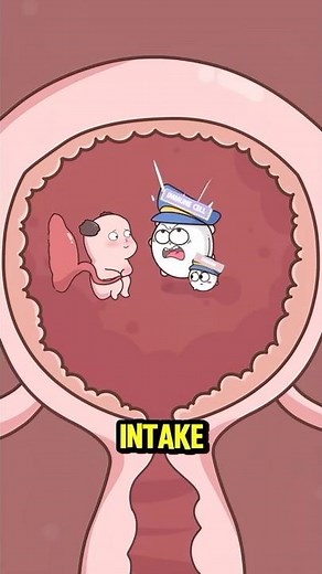 How hCG Hormone SAVES Your Pregnancy #shorts #health #pregnancy