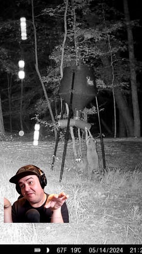 trap em all 🦝🦝 | Paige Bauer