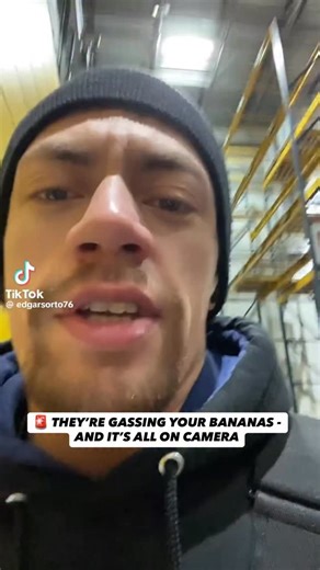 Hustle Bitch on Instagram: "🚨 THEY’RE GASSING YOUR BANANAS - AND IT’S ALL ON CAMERA A man calmly walks through the process on video. “Another day of gassing.” He starts with ethylene gas. Selects the gassing room. "We do gas organic and regular bananas." He dumps the gas liquid. Walks to the control machine. Closes the sealed door. Presses the menu. Turns the gas ON. “And we are gassed.” Industrial-scale chemical exposure done routinely, quietly, and out of sight. Green bananas go in. Yellow ba