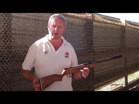 Webley VMX Cub Junior Airgun Review