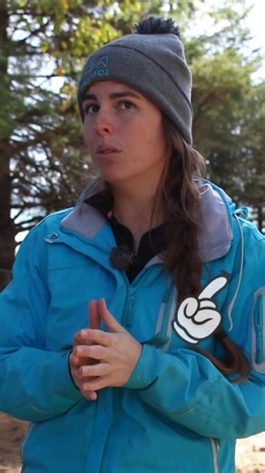 1K views · 8 comments | Avec l’algorithme, on ne sait plus trop quels...