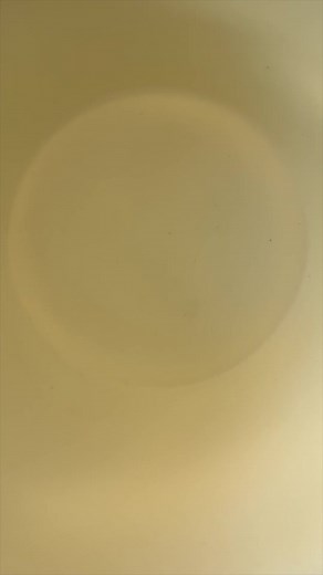 Disney Parks Inspired Cereal Bowls | Roll for Cereal Episode 80