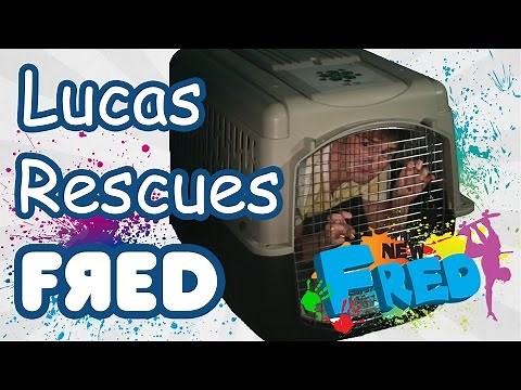 Lucas Rescues Fred