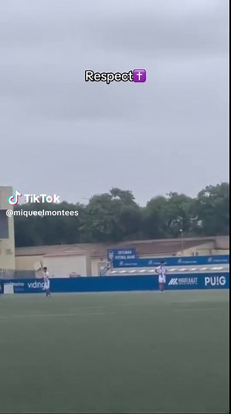 Respect Sportsmanship: Dogs Engage with Soccer