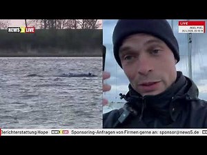 LIVE: Buckelwal "Hope" vor der Insel Poel - Tag 34