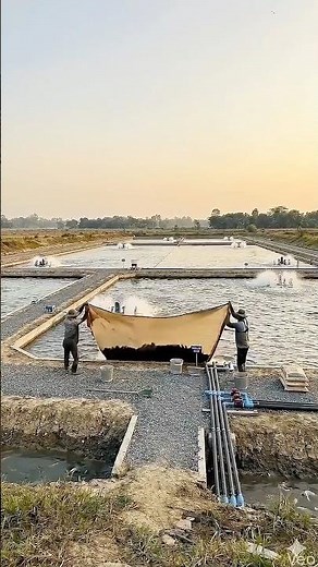 Aquaculture fish farming