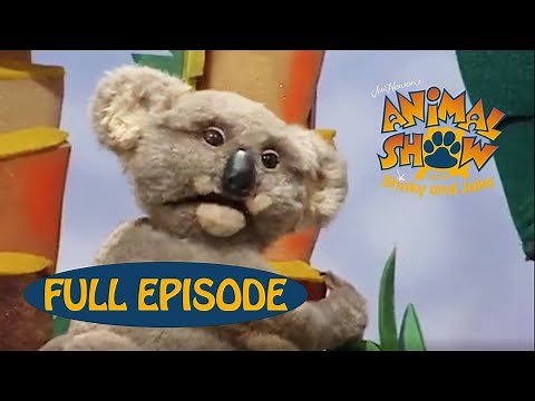 Animal Show | Koala 🐨 / Ostrich | Jim Henson Family Hub | Kids Cartoon