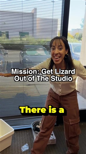 A lizard is in our studio!!! | lizard