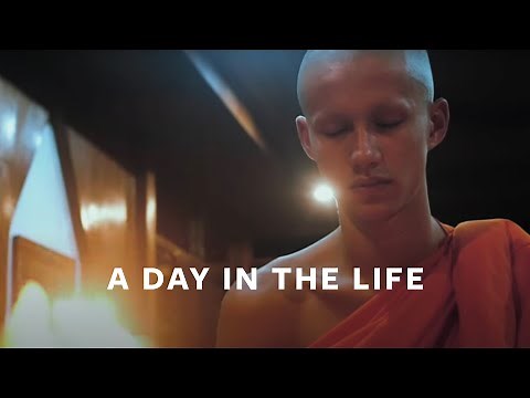 A Day in the Life of a Buddhist Monk