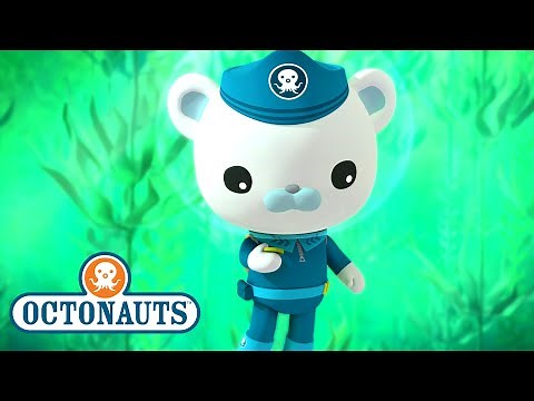 ​@Octonauts - The Giant Kelp Forest | Full Episode 19 | @Kidzuko