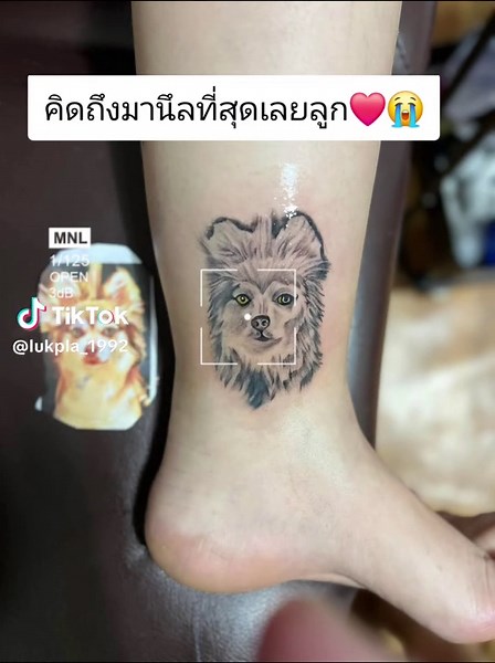 แม่รักมานึลที่สุดเลยนะลูก มานึลจะเป็นความทรงจำที่ดีที่สุดของแม่❤️😭 #มานึลหมามึน🐶 #หมาหาย #หมาเกาหลี