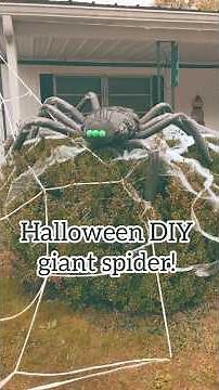 Giant Spider DIY - Make Your Own Giant Halloween Spider!