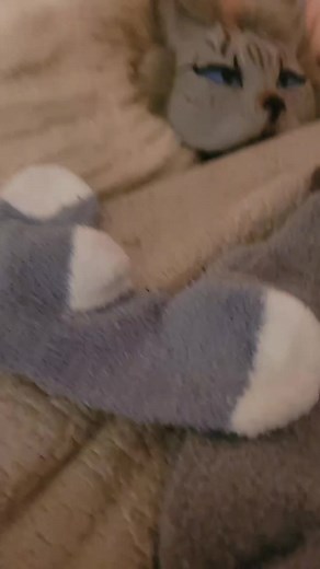 DIY Amazon Sock Paws Tutorial
