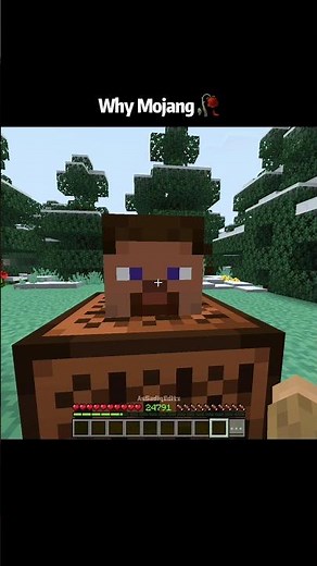 Minecraft Steve sound moments