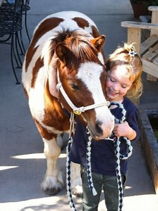 The bond between a child and her pony is something truly special. This sweet scene captures warmth, trust, and happiness in its simplest form—a gentle hug, a shared smile, and a friendship built on love and comfort. These are the moments that shape lasting memories and a lifelong passion for horses. 🐴💛 #PonyLove #BestFriends #ChildhoodMemories #PonyLife #HorseKids #EquineBond #PureJoy #LittleHorseLover #HeartfeltMoments | Coloured Stallions