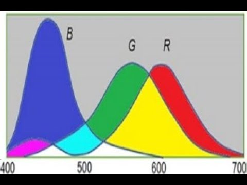The Decoding Model ——Uncovering the Mystery of Color Vision