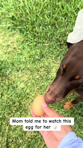 Canela_La_Dobe on TikTok