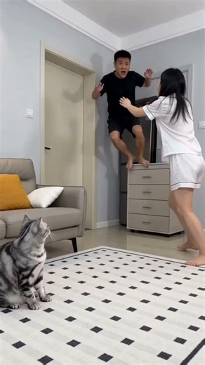 My cat filters boyfriends for me #cat #funny #cute#pets #cute