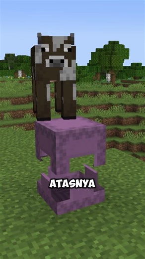 This block can be a secret door in Minecraft.