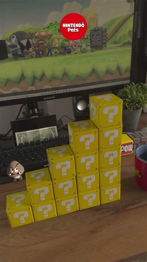 Little Goomba jump into water #shorts #pets #nintendo #mario #reallife