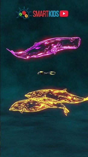 🐋 Which whale can dive the deepest?