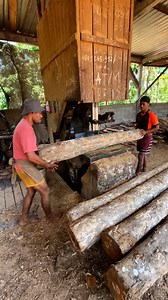 well split teak tree trunk | Alfariz Jati