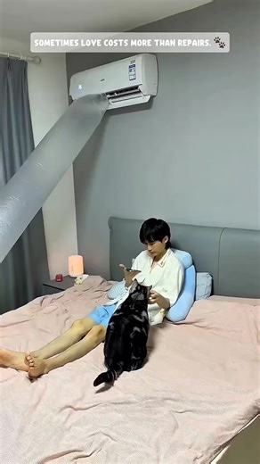 He Broke His Own AC Because of What cat Did Next 🥶🐶 #cat #petstories #unexpectedmoment #animalbond #heartwarming