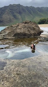 Mermaid relaxing in the tide pools 🧜🏼‍♀️ #mermaid #mermaidlife #mermaidtails #fantasy #sirens #fantasycreature #professionalmermaid #mermaidtail #folklore #mermaidcore tail by Merbella Studios Inc. | Mermaid Sirenity